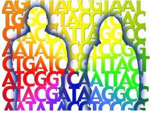 �ҹ���������Լ���״