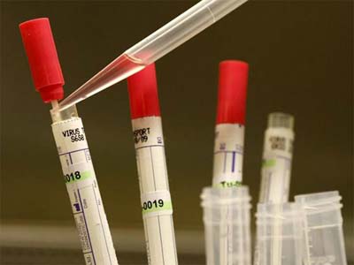 �����⣺���뱥�� ��ʵ�Ǹ�