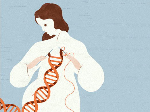 �������ȫ���ݽ����ӿƻõ�����