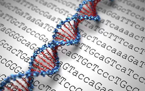 ��ɭ·͸����һ�������г�Ǳ����¶ìͷ��