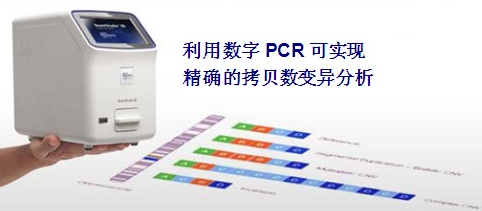 δ������PCR�ǽ���ռ����Ϊ�ձ���г�