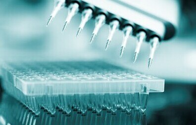 �й��������Ʒ���г�����