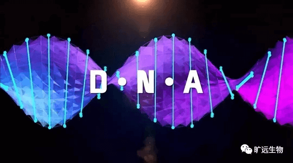 ����������������һ����FDA����6��ָ��