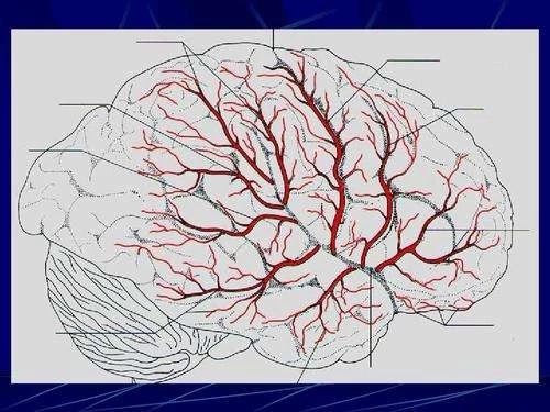 �й���Ѫ�ܲ�һ��Ԥ��ָ��2019������حָ�Ϲ�ʶ